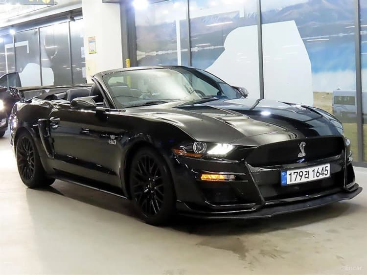 Mustang