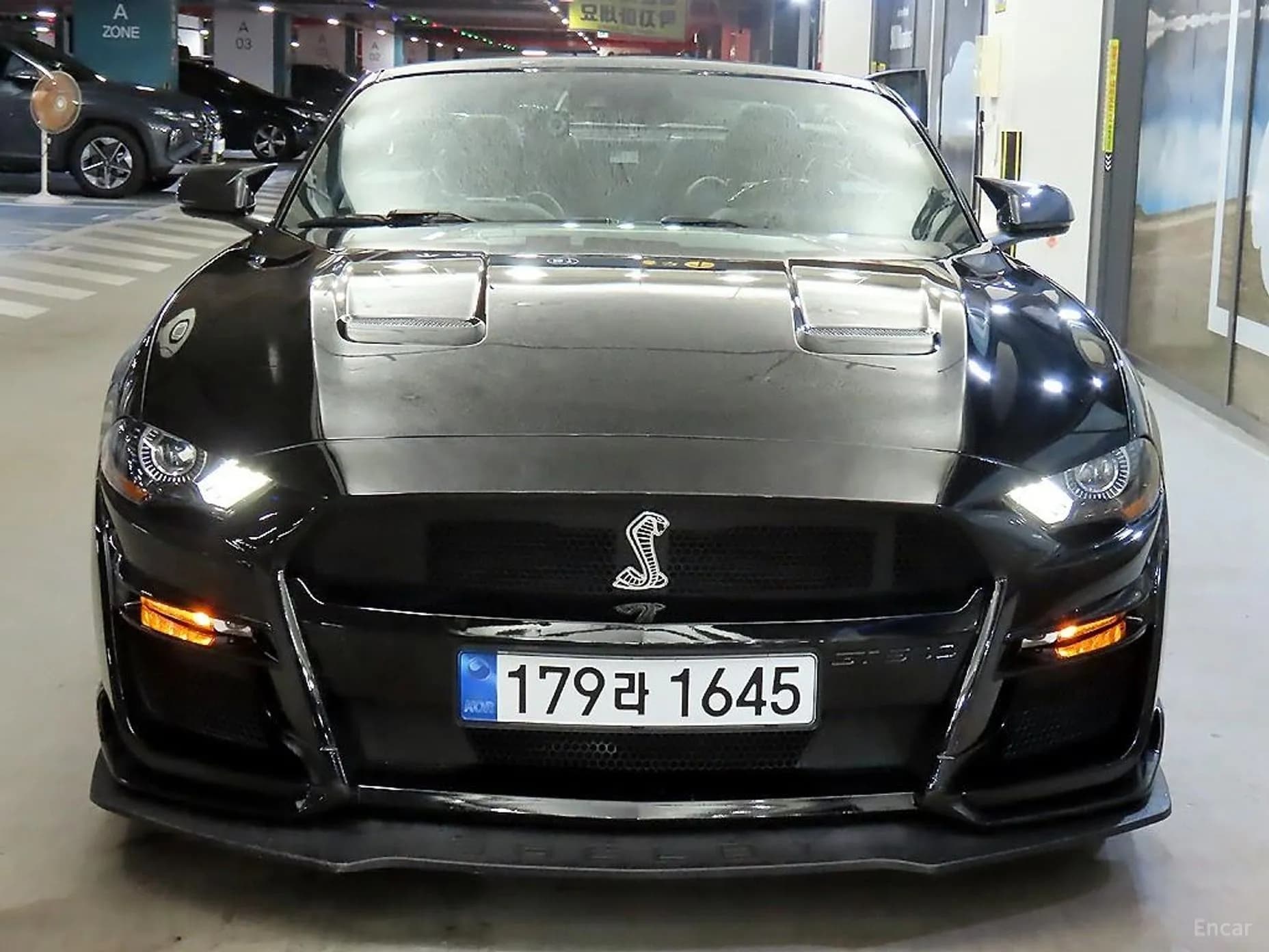 Mustang