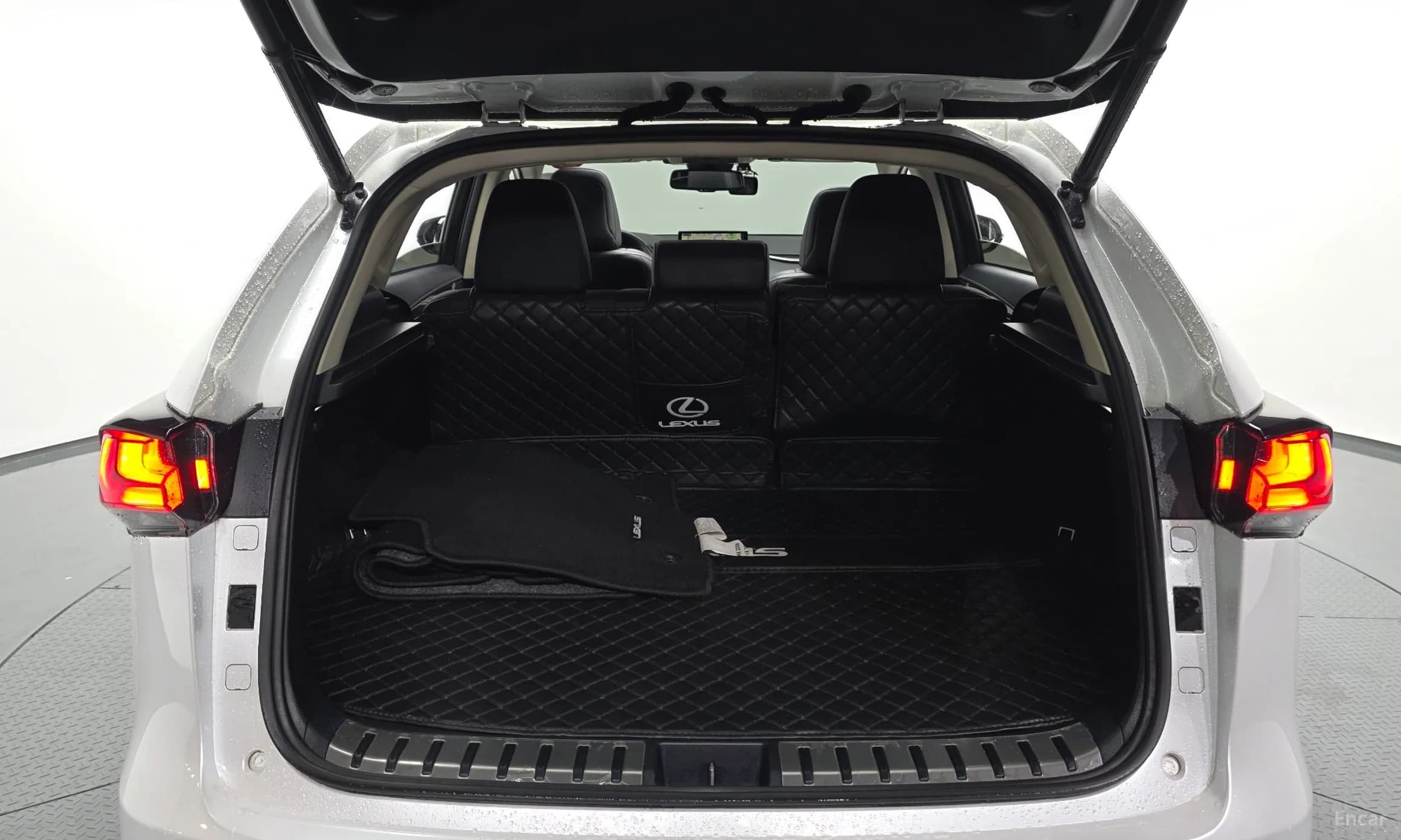NX300h