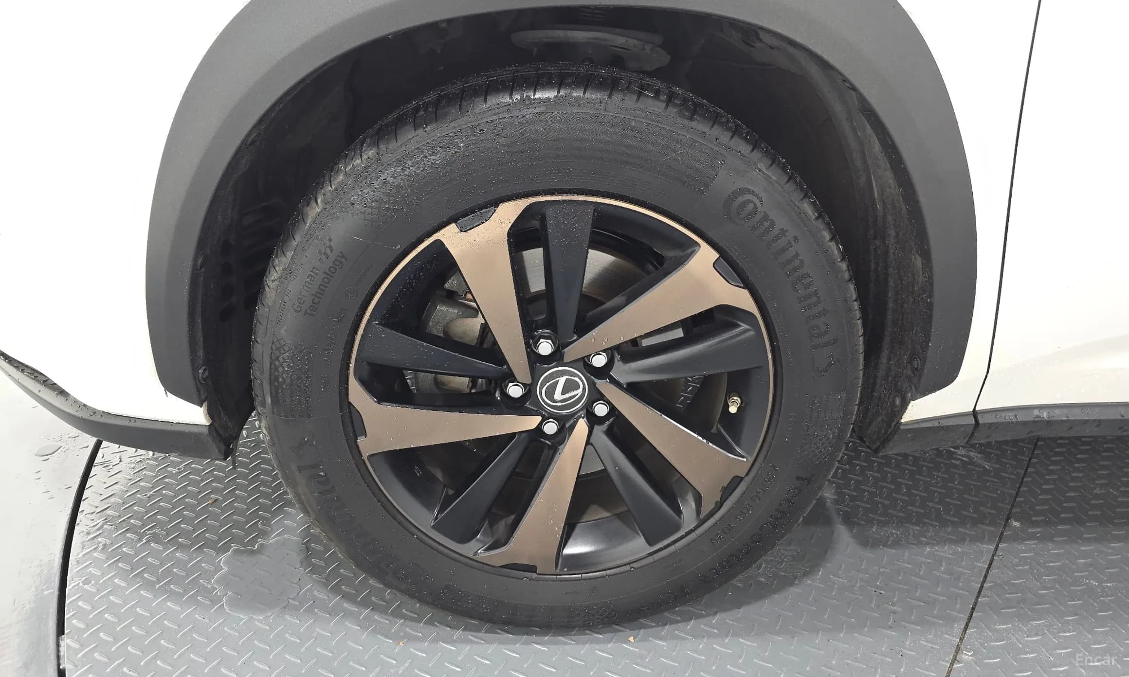 NX300h