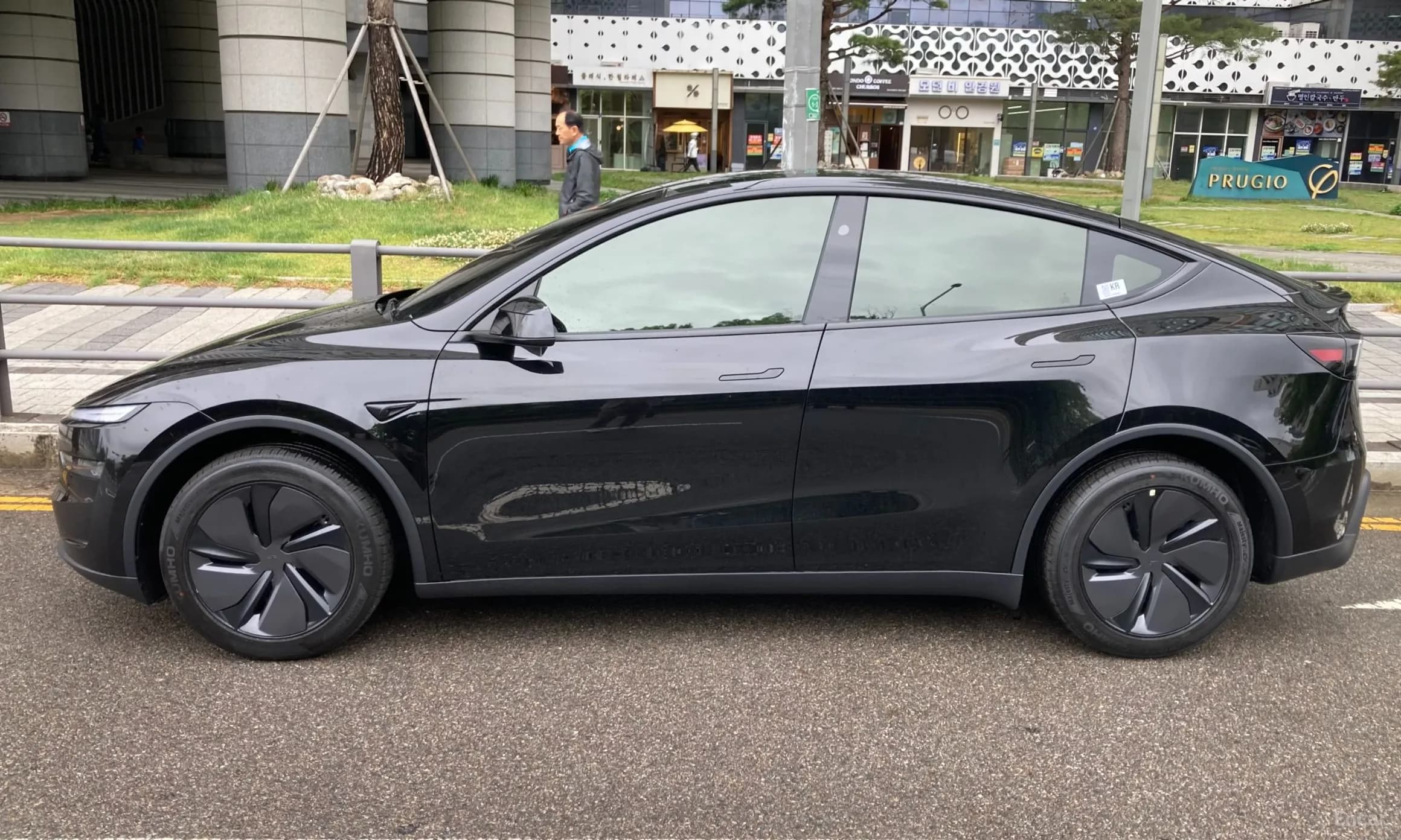 Model Y
