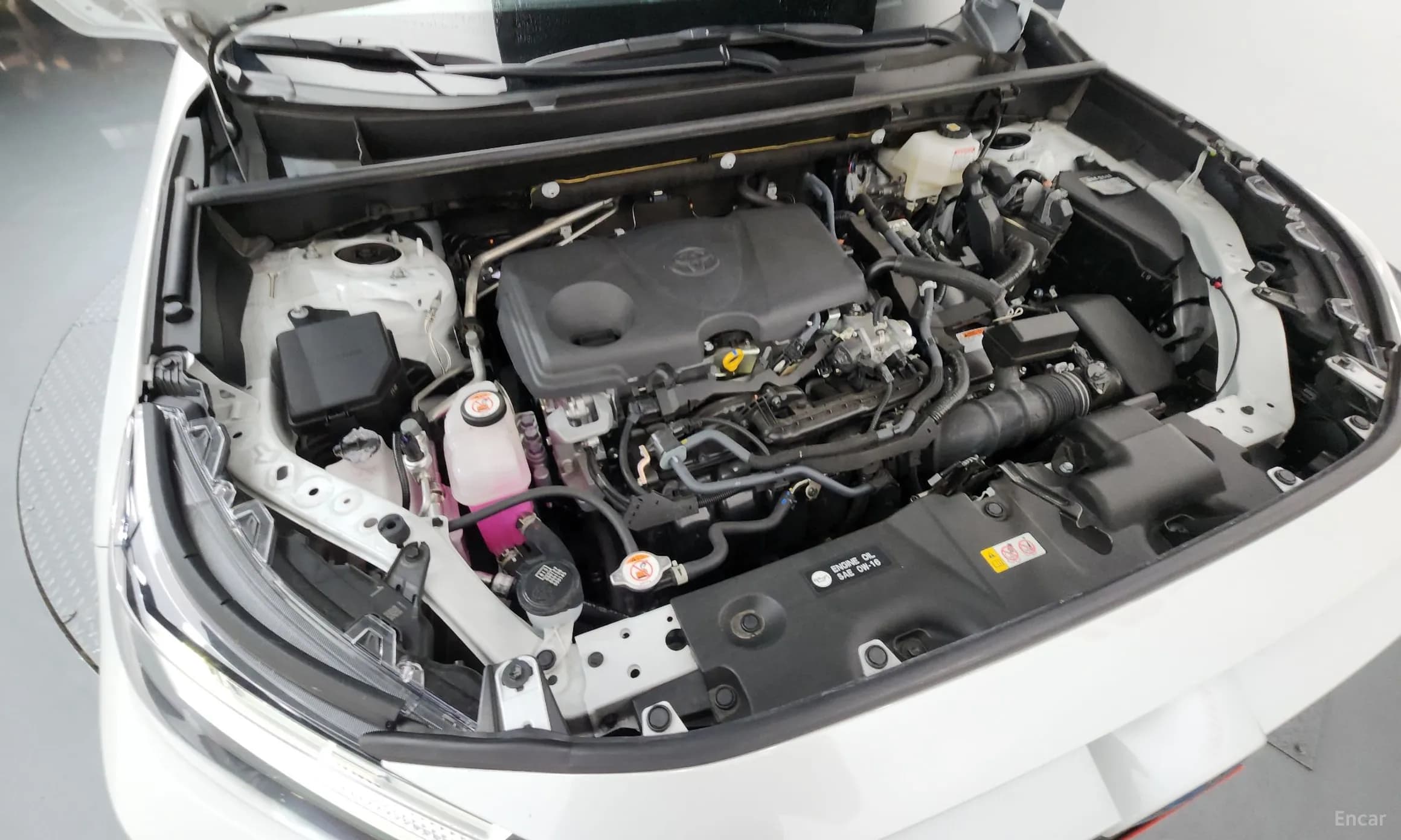RAV4 5th Generation