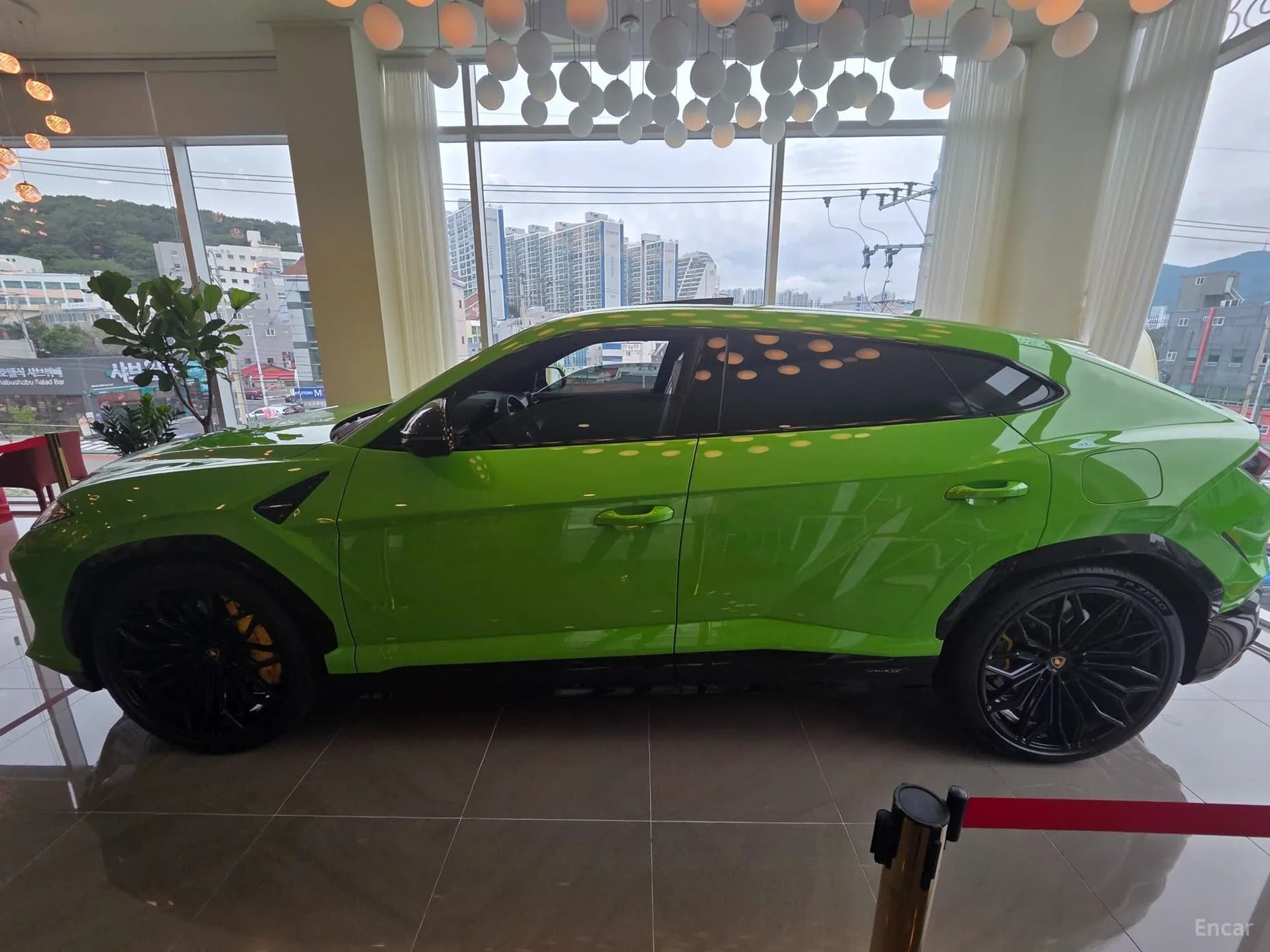 Urus