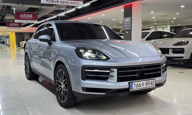 Cayenne (PO536)