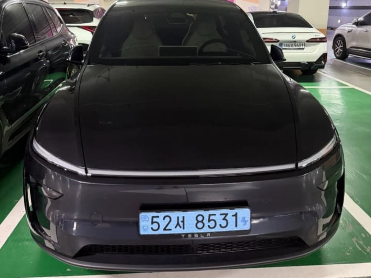 Model Y