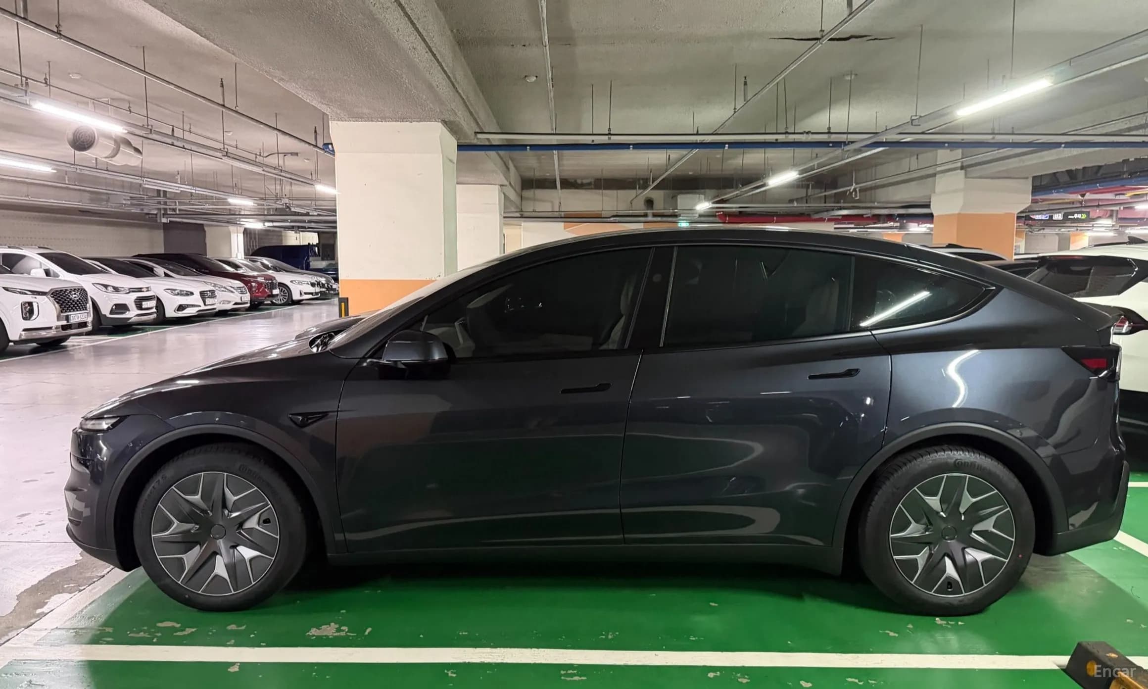 Model Y