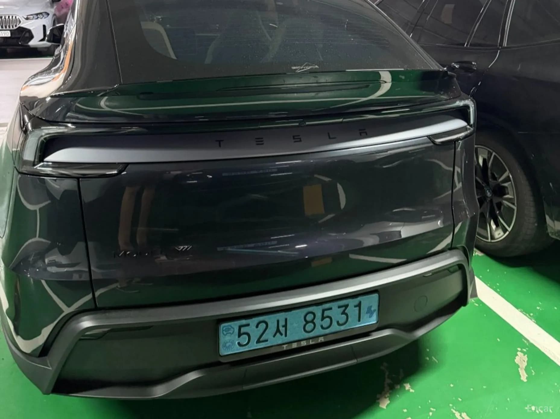 Model Y