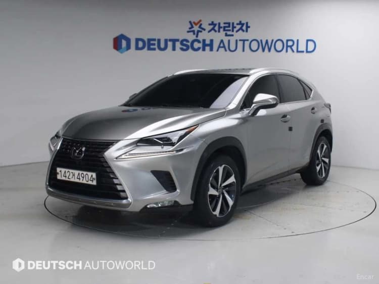 NX300h
