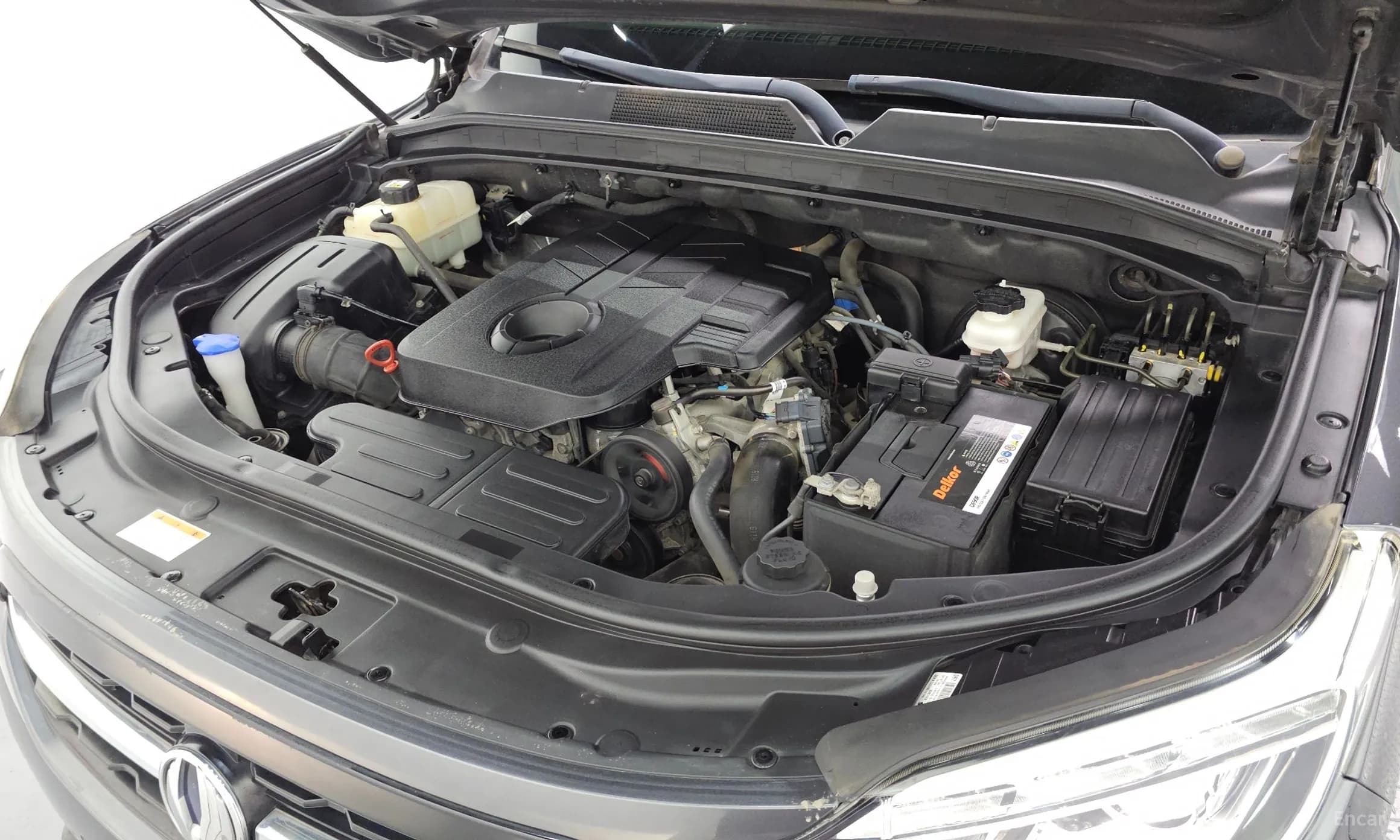 Rexton Sports