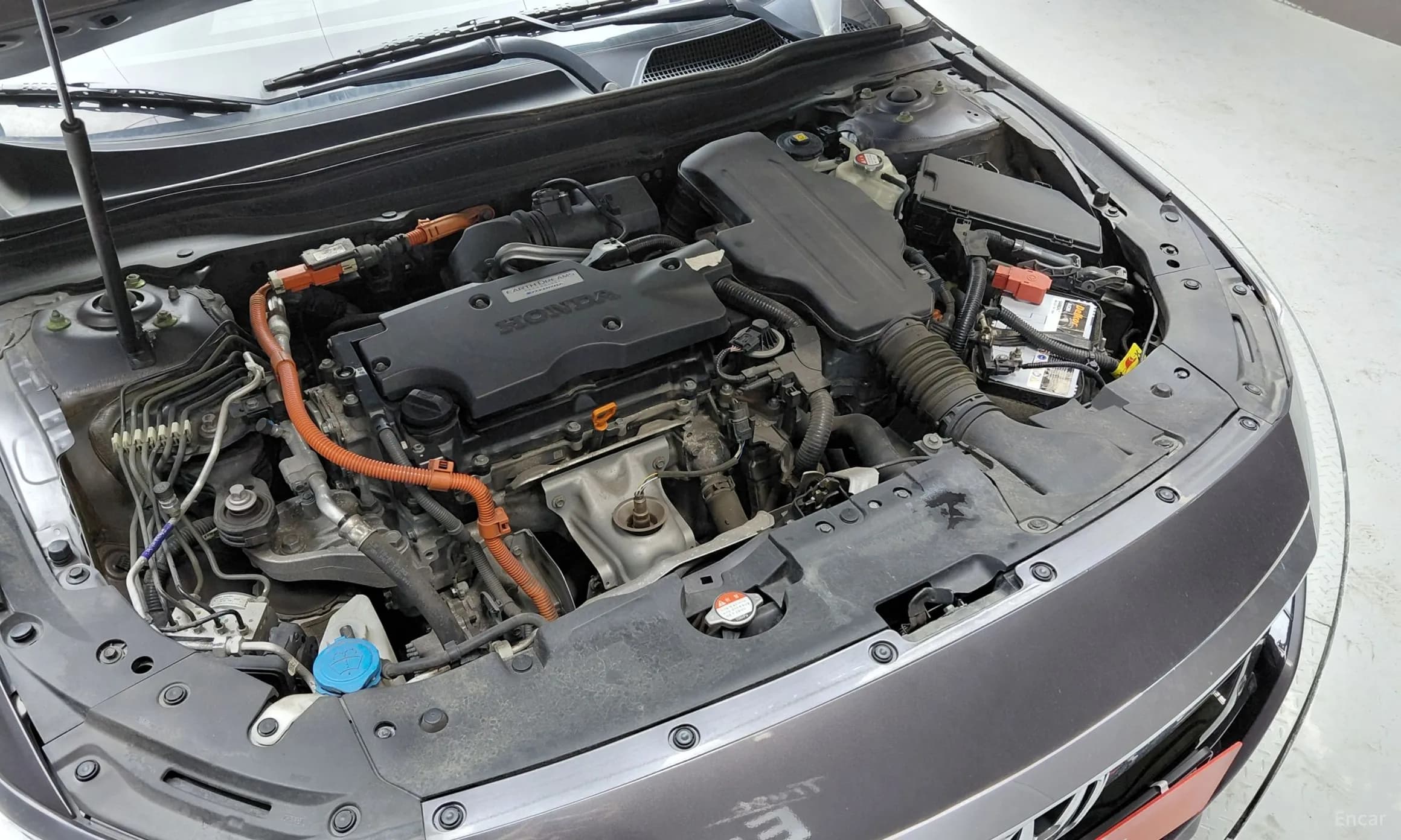 Accord 10th Generation