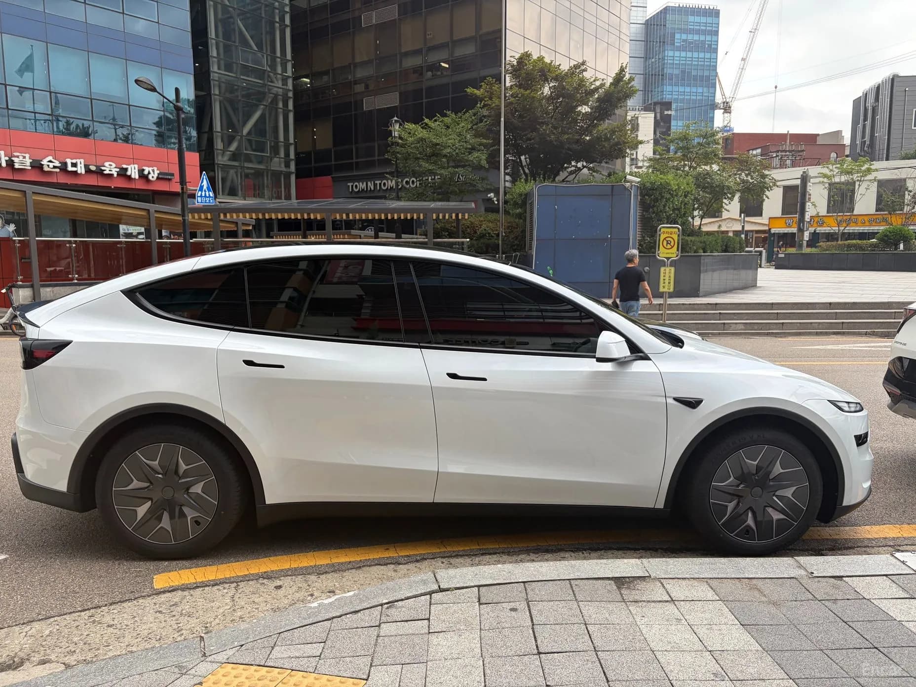 Model Y