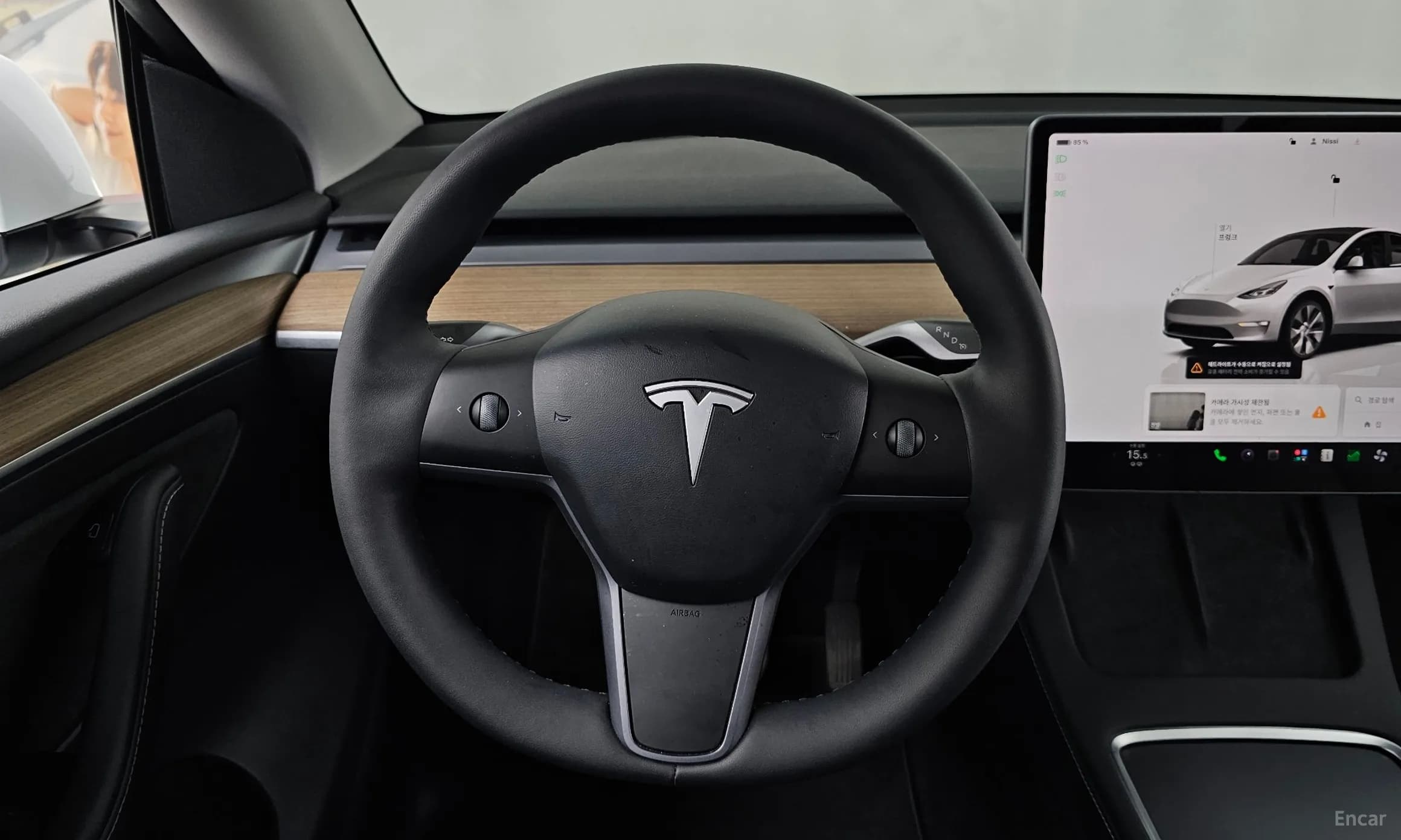 Model Y