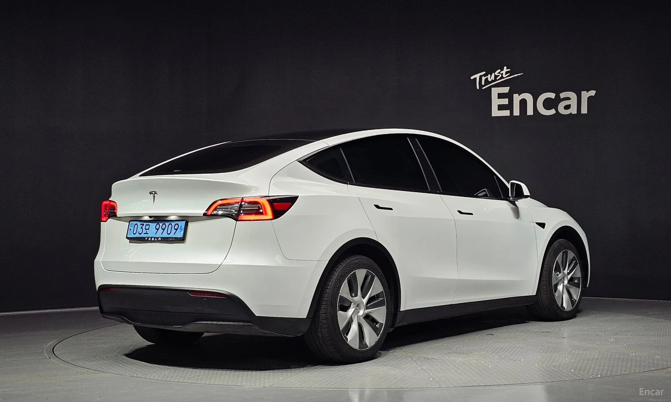 Model Y