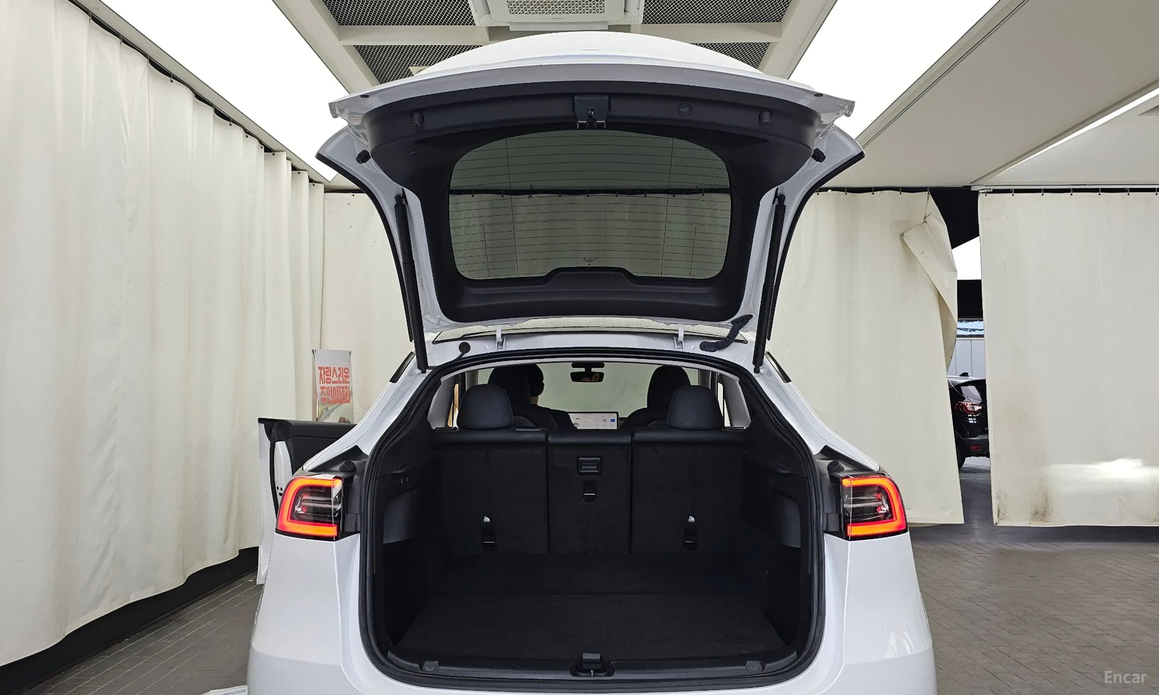 Model Y