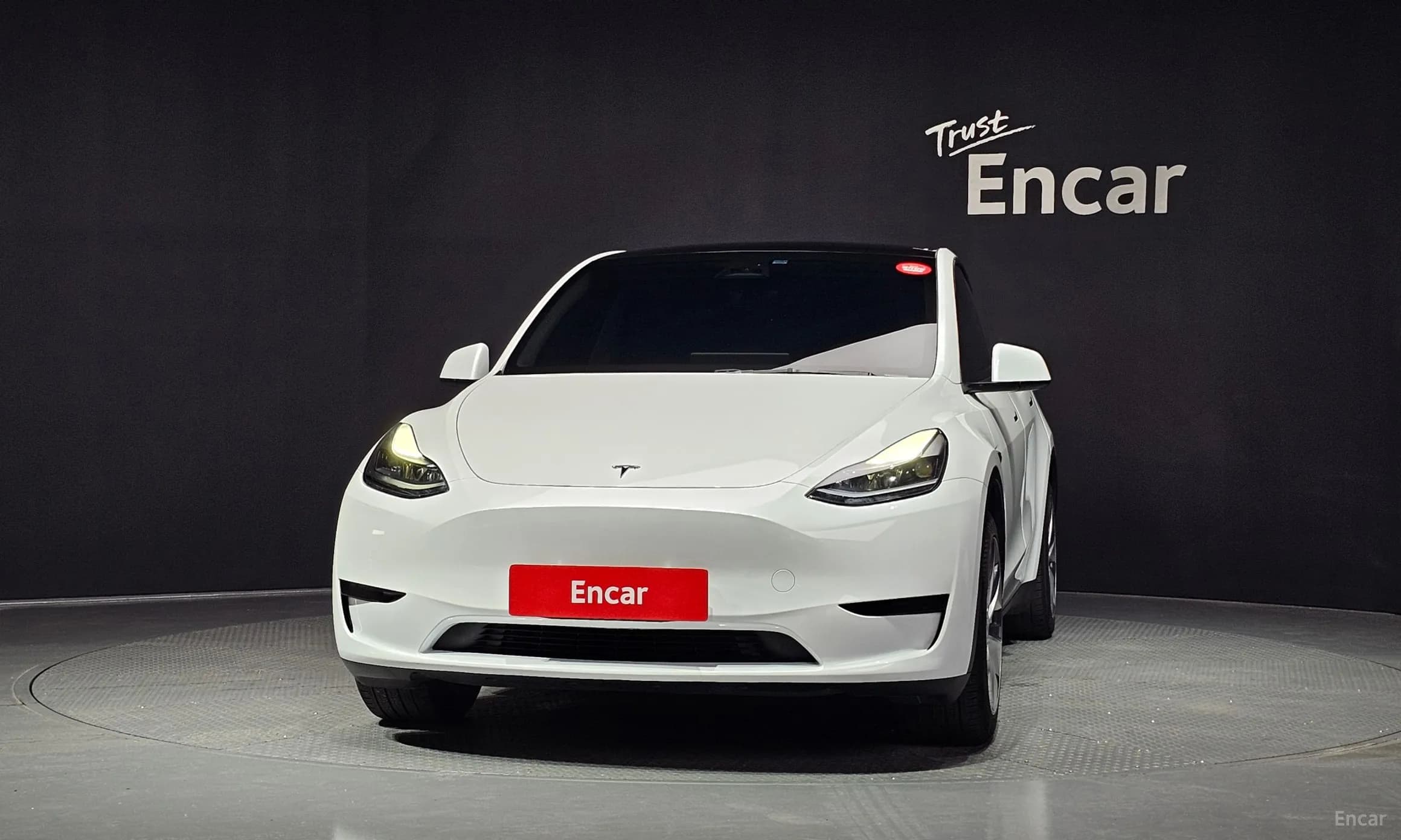 Model Y