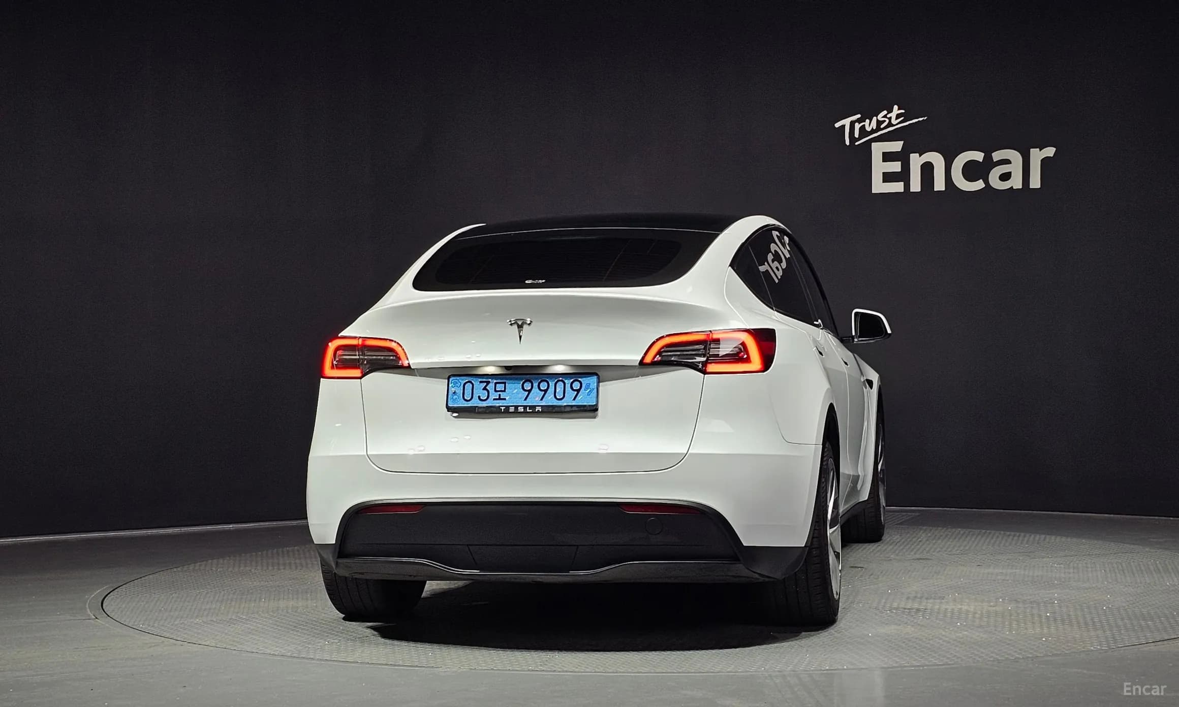 Model Y