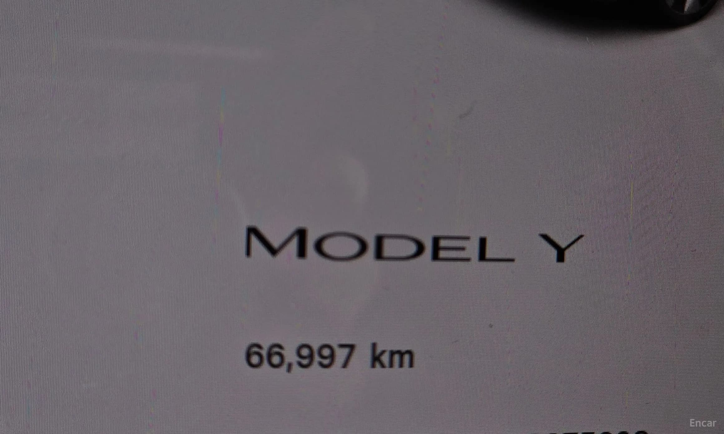 Model Y