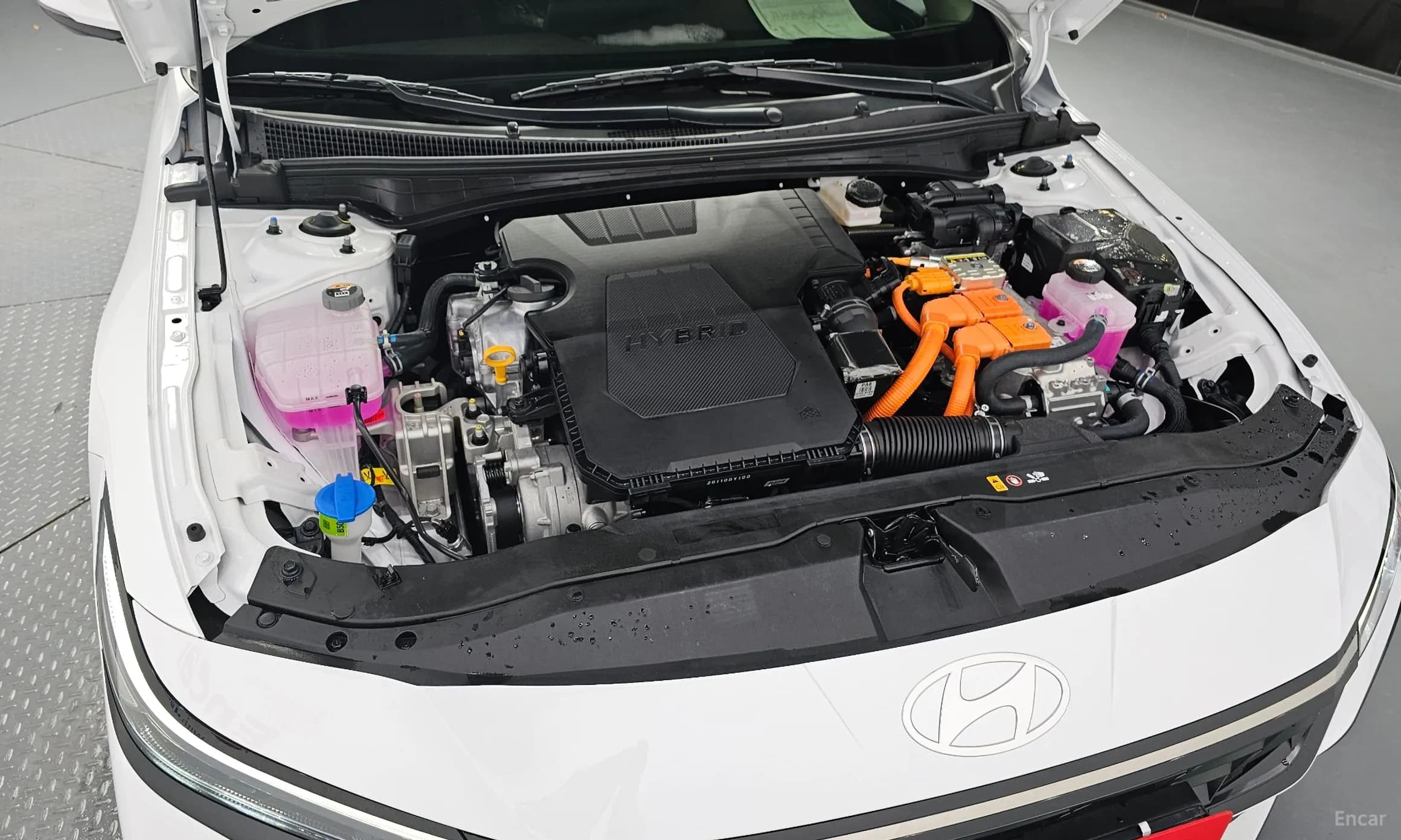 Avante Hybrid (CN7)