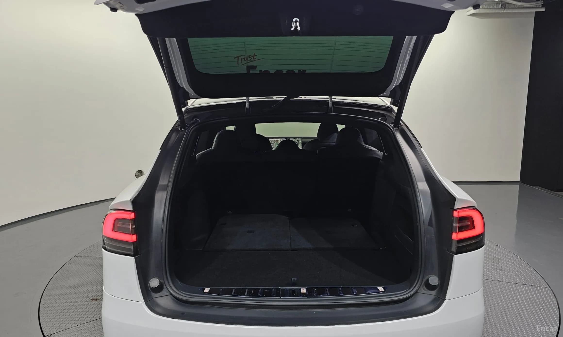 Model X