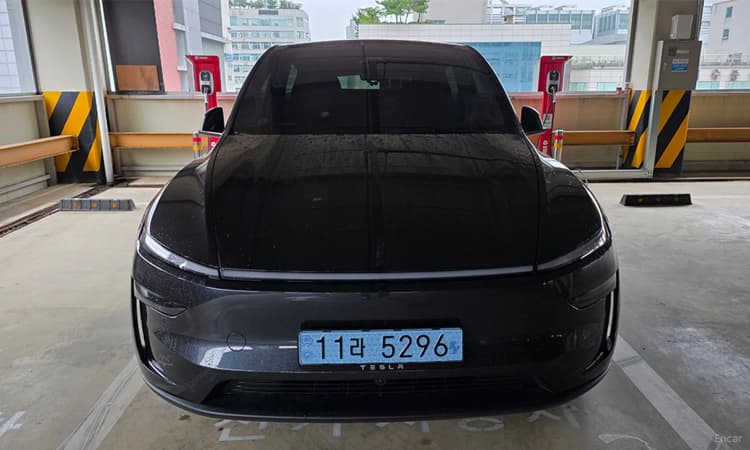 Model Y