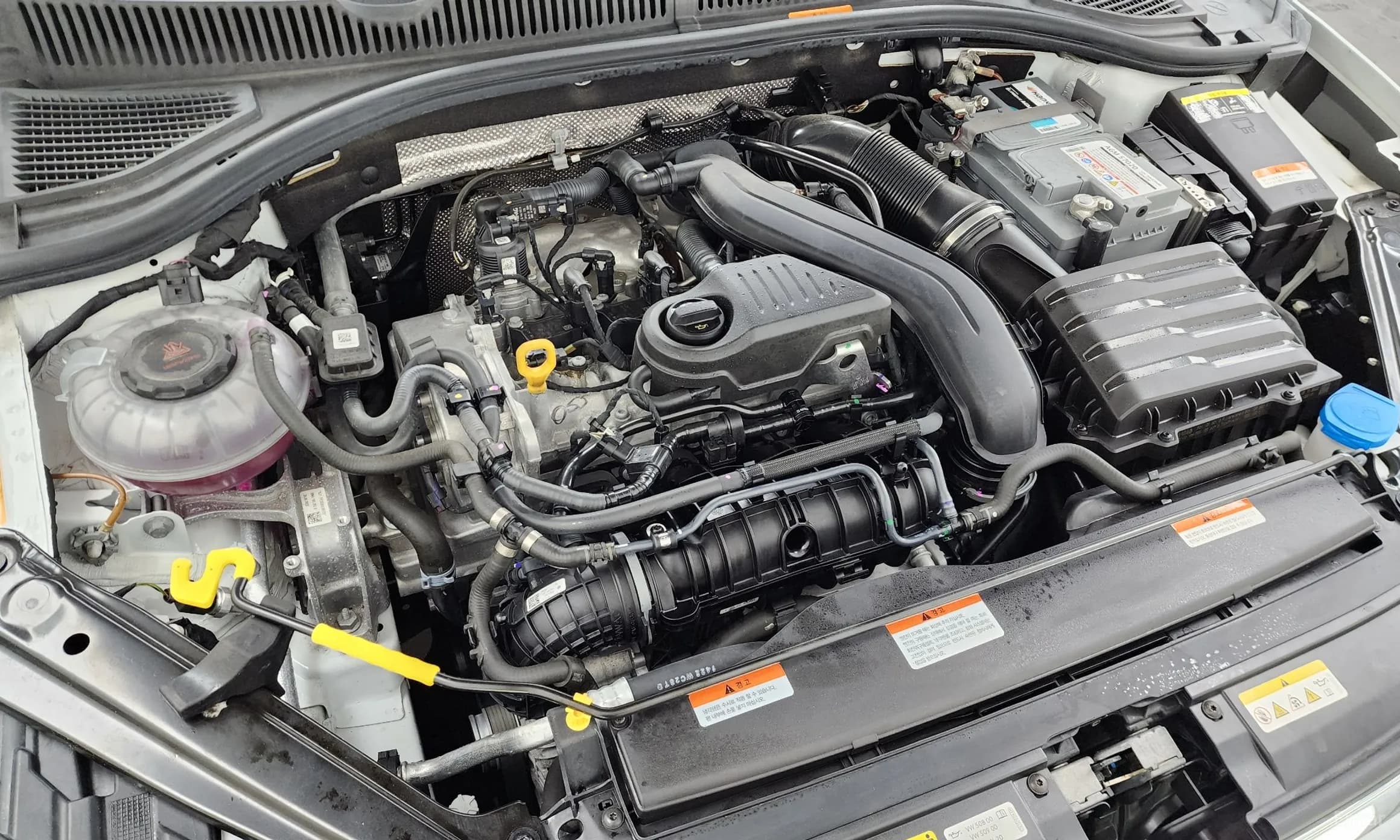 Jetta 7th Generation