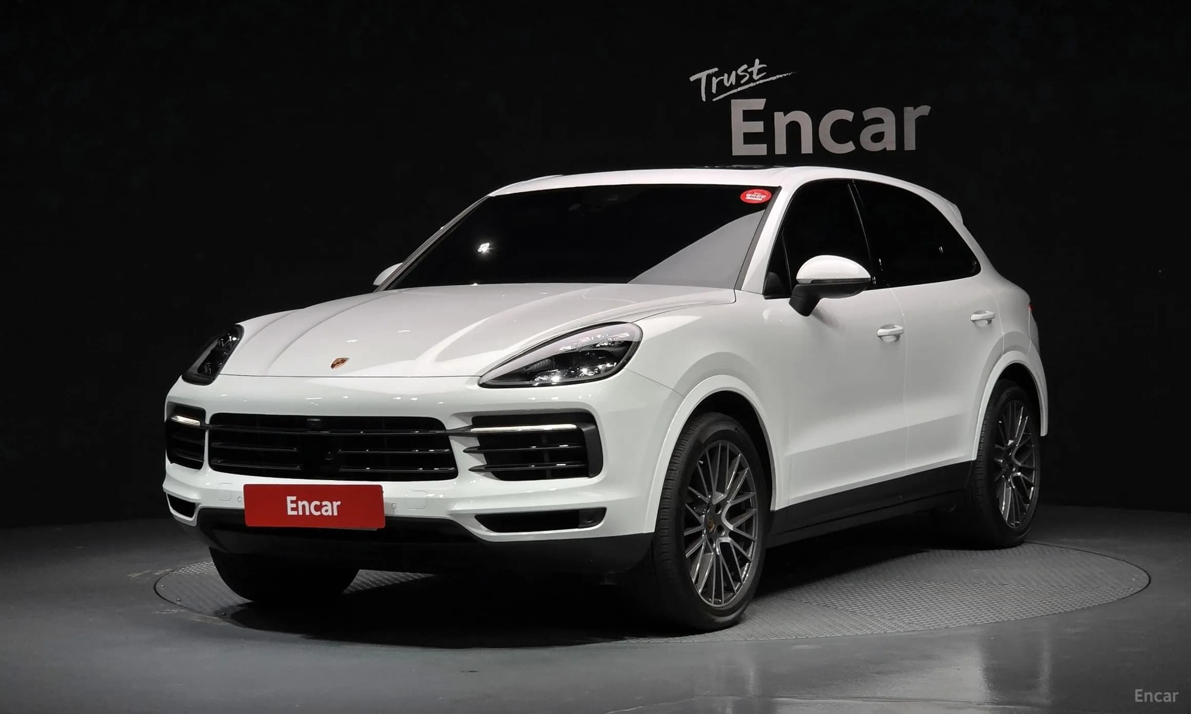 Cayenne (PO536)