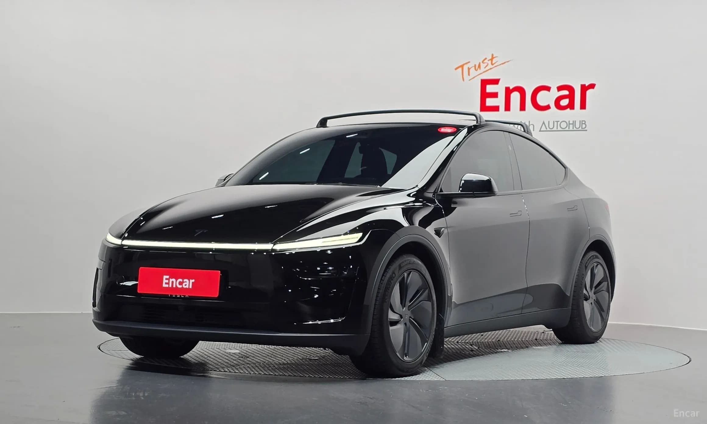 Model Y
