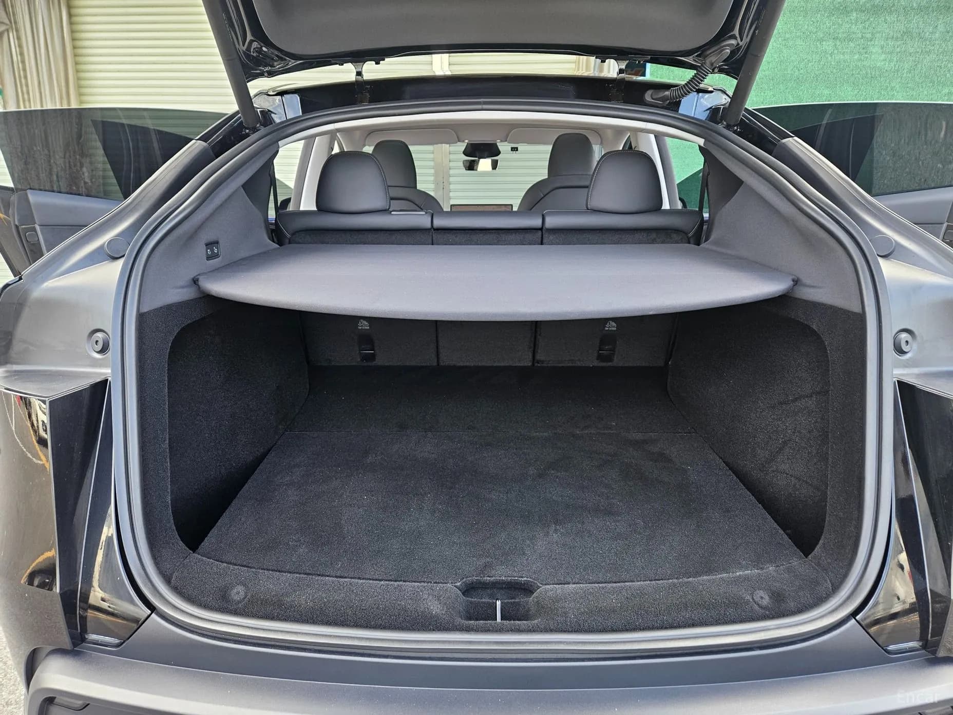 Model Y