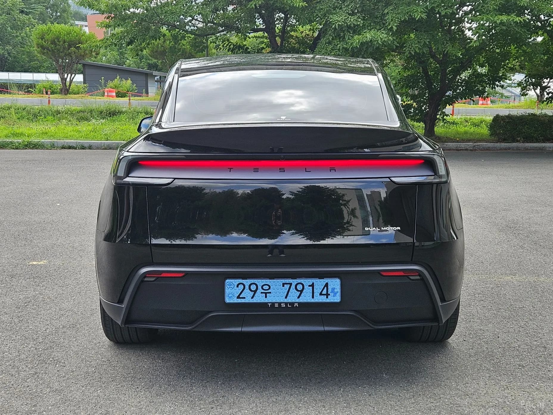 Model Y
