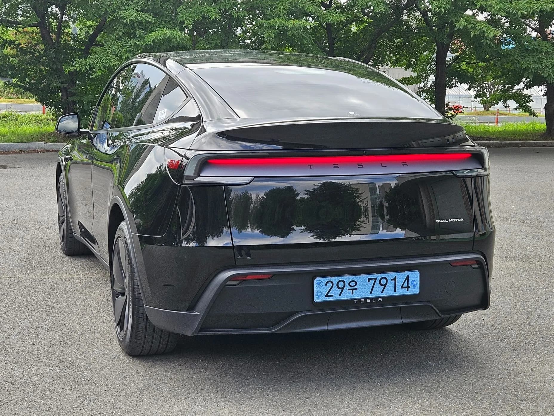 Model Y
