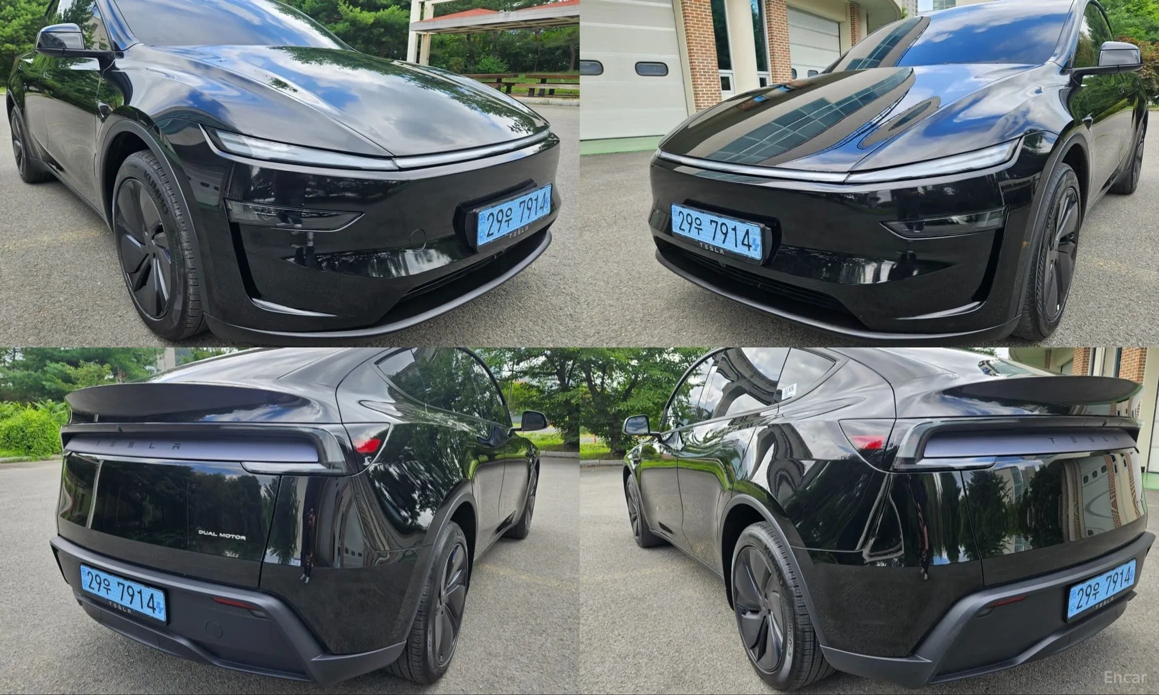 Model Y