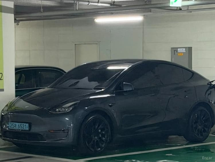 Model Y