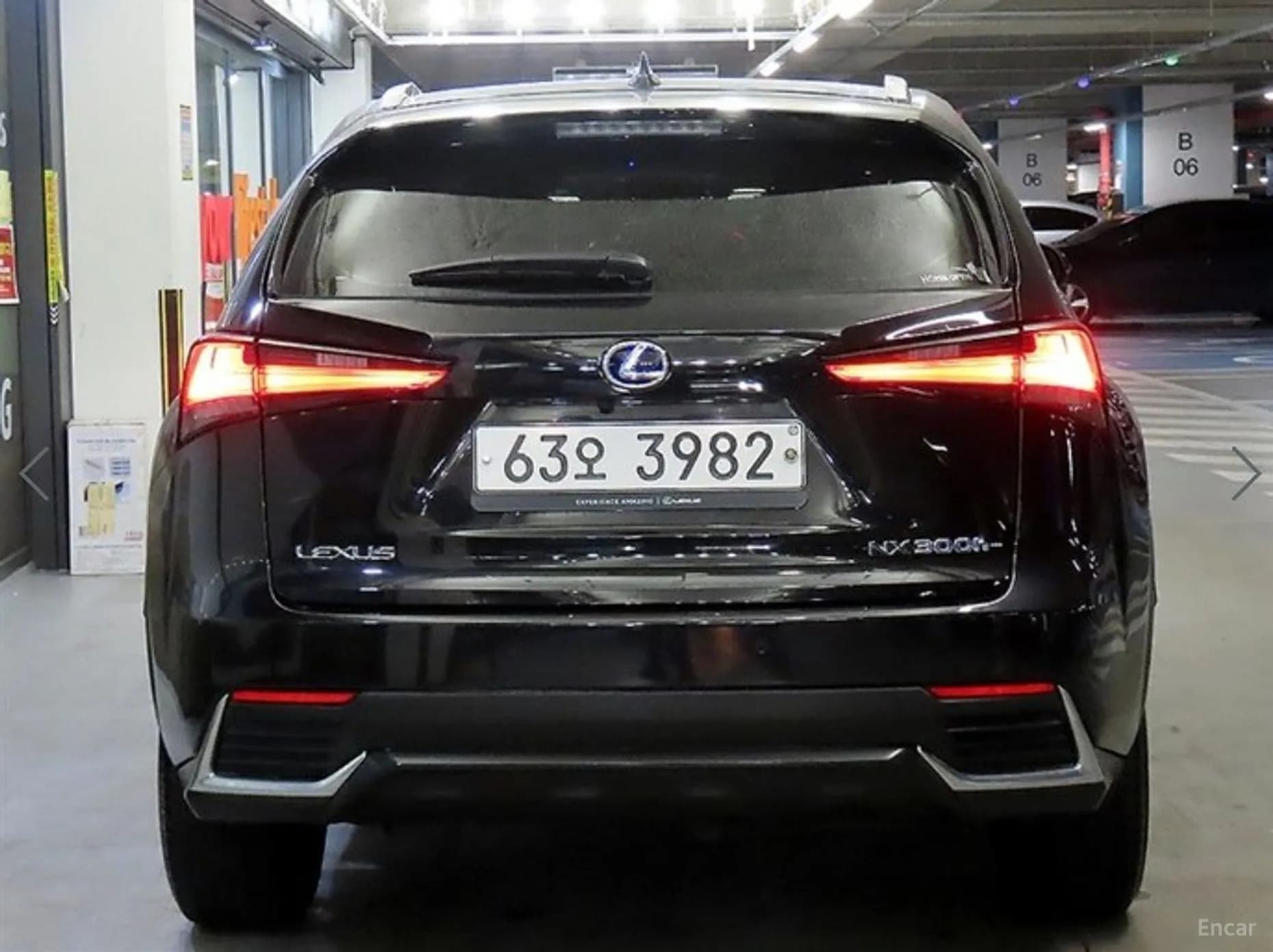 NX300h