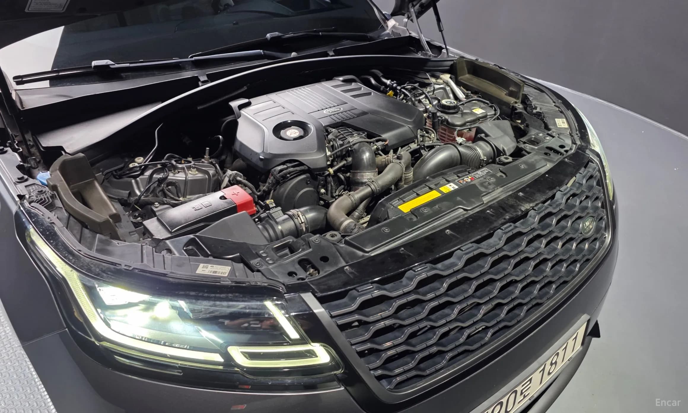 Range Rover Bella