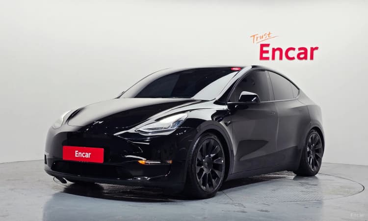 Model Y