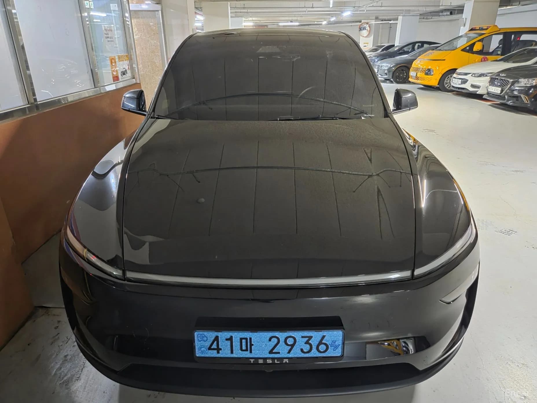 Model Y