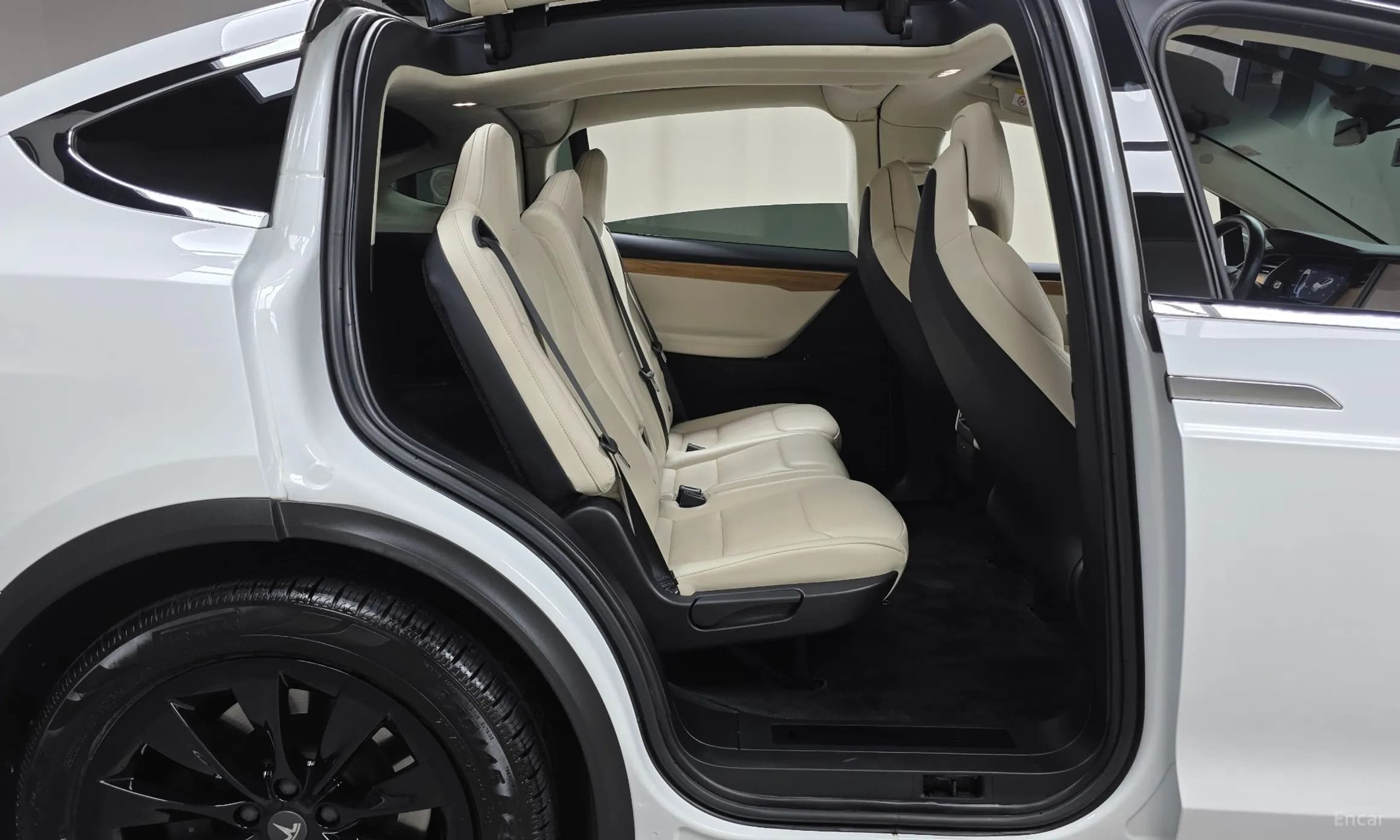 Model X