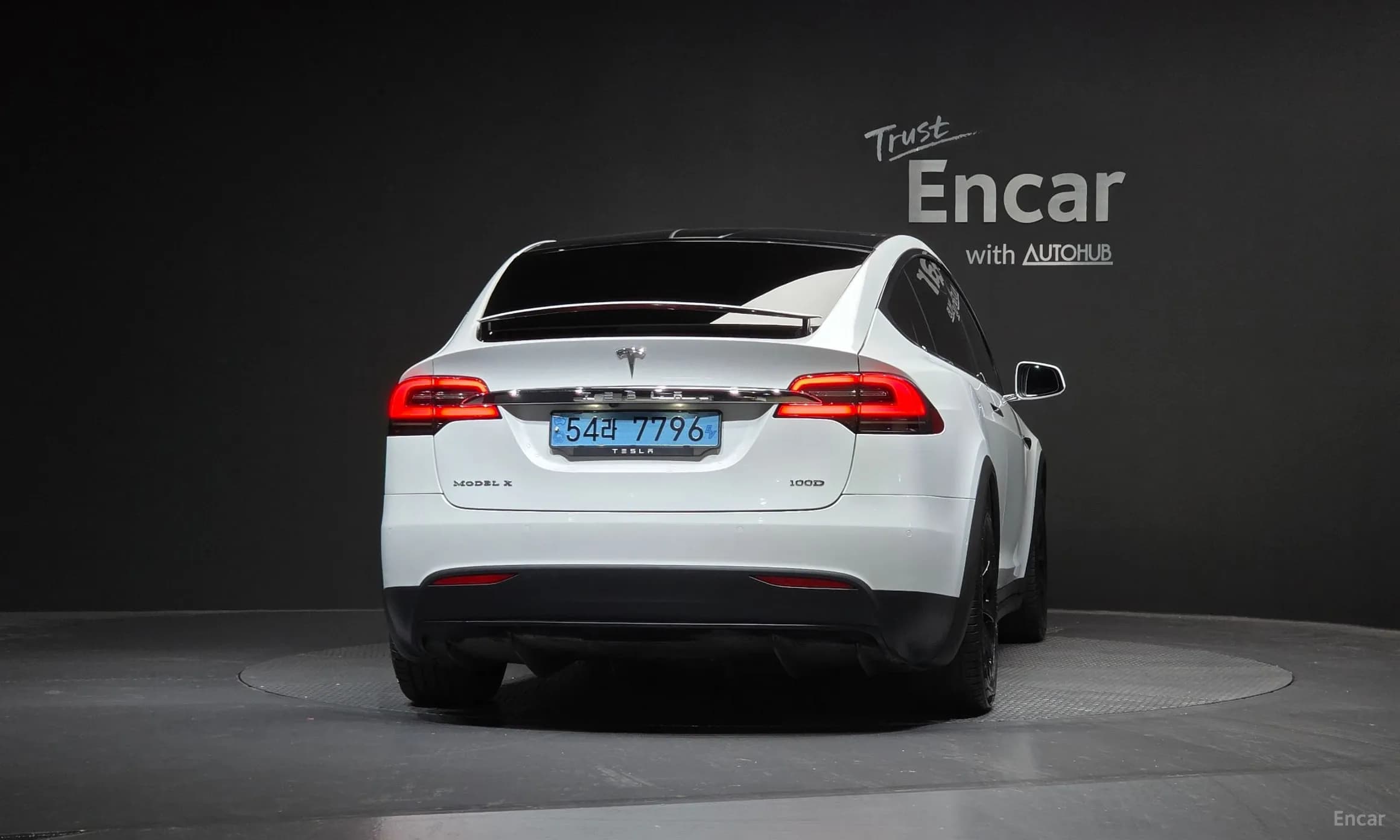 Model X