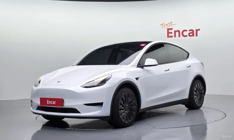Model Y