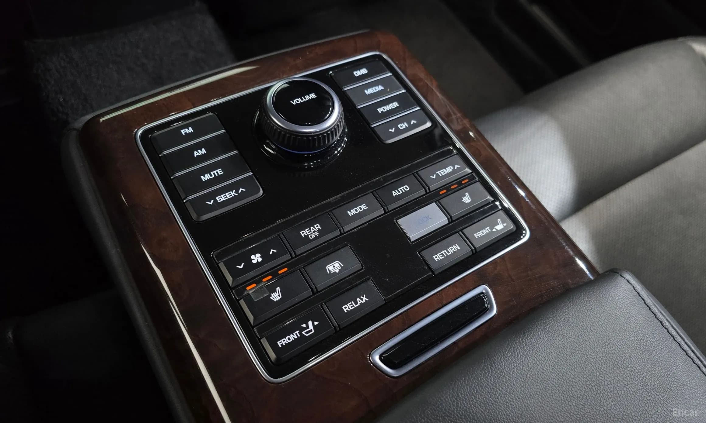 Equus (new)