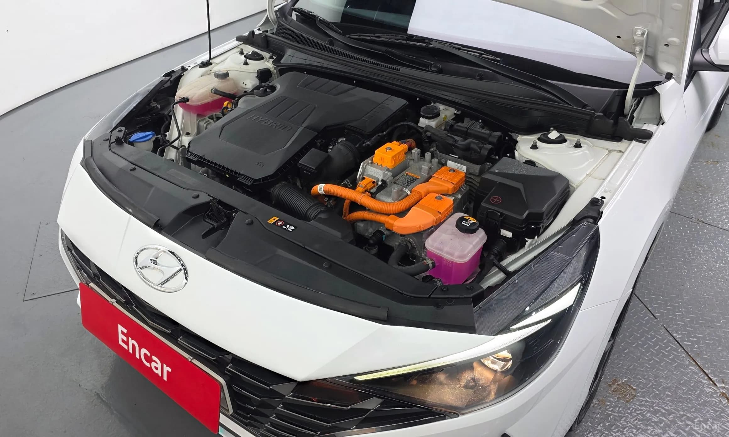 Avante Hybrid (CN7)