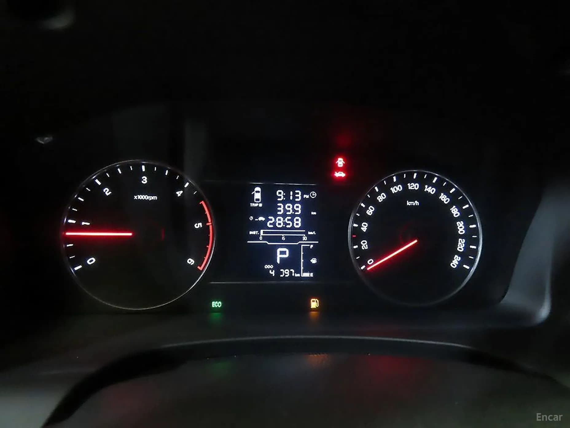 Rexton Sports