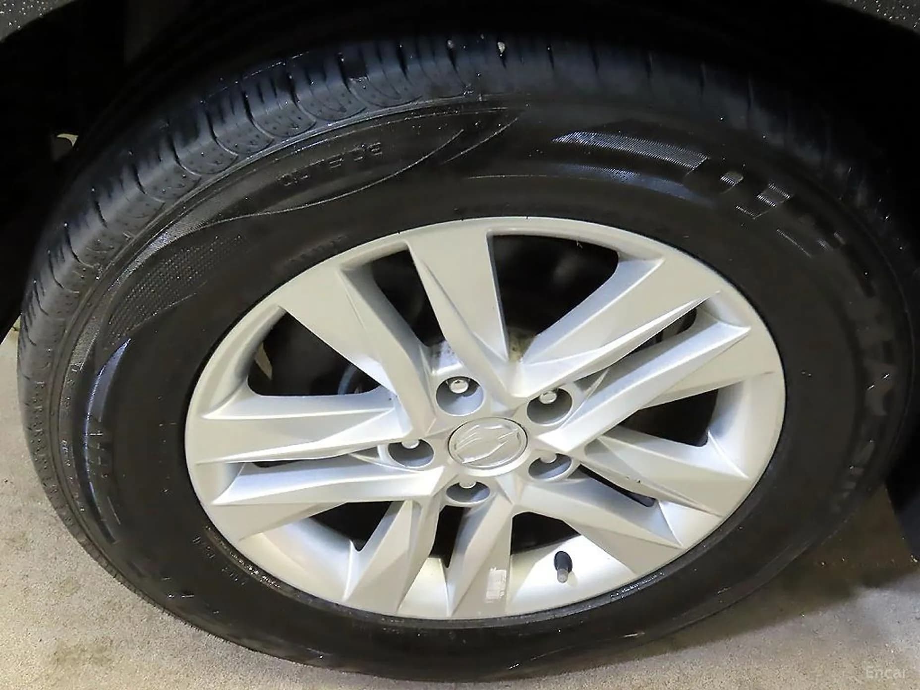 Rexton Sports