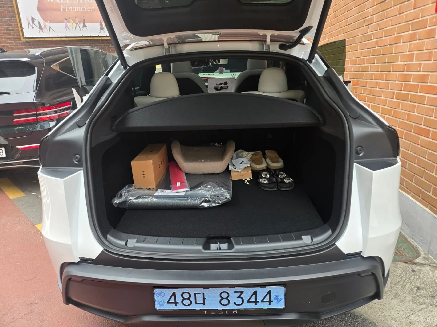 Model Y
