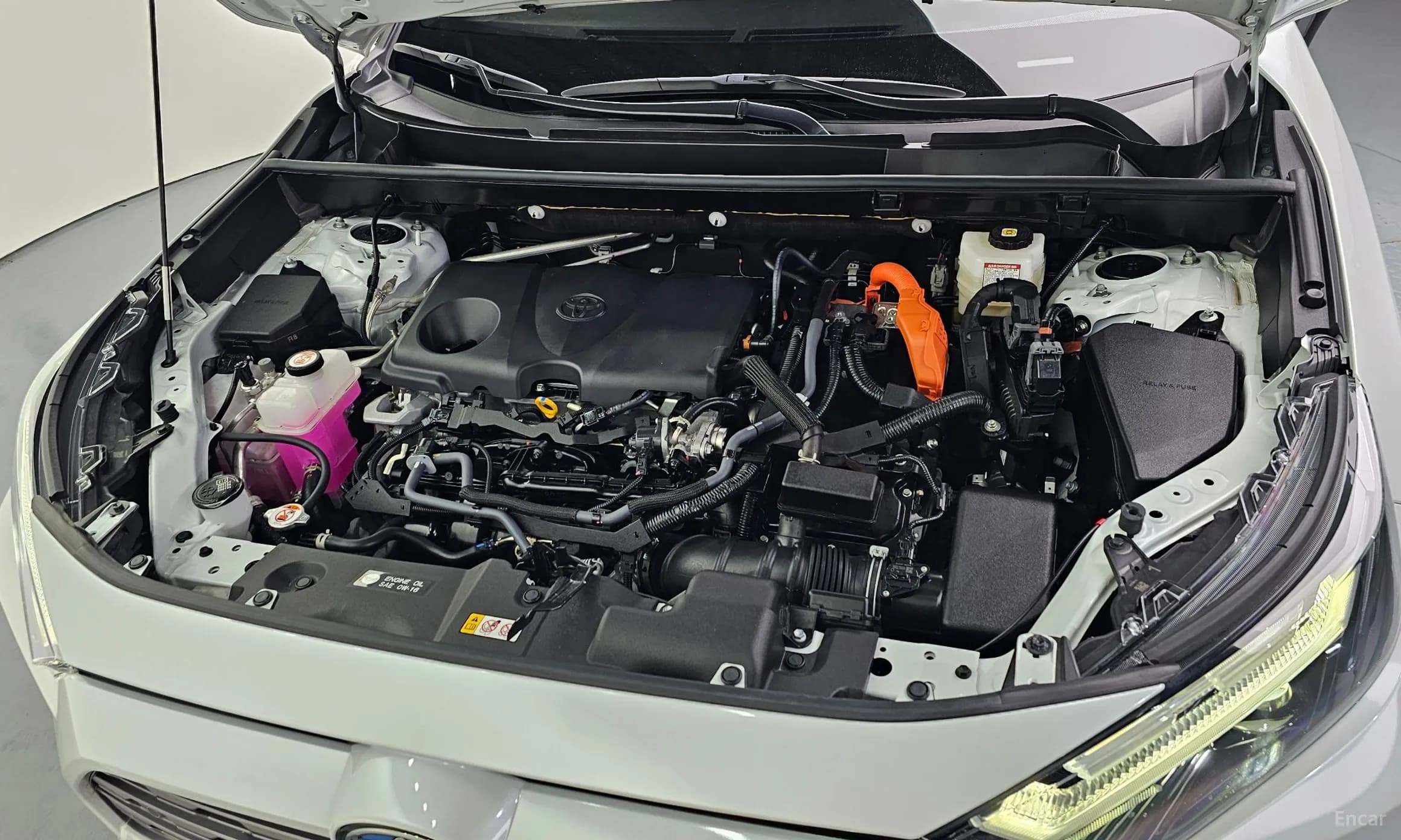 RAV4 5th Generation