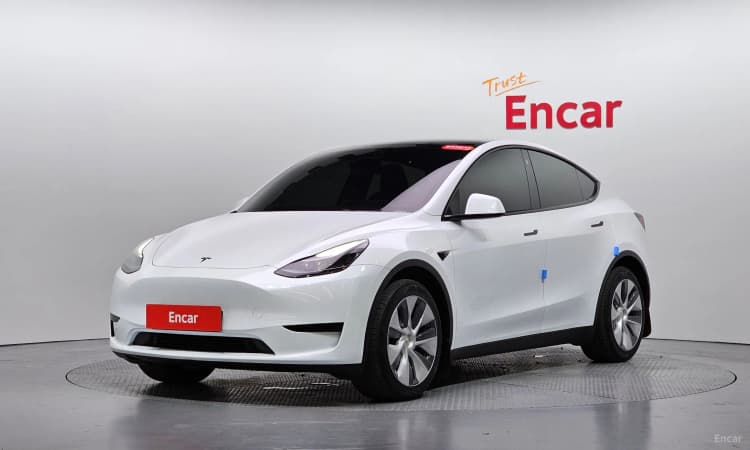 Model Y