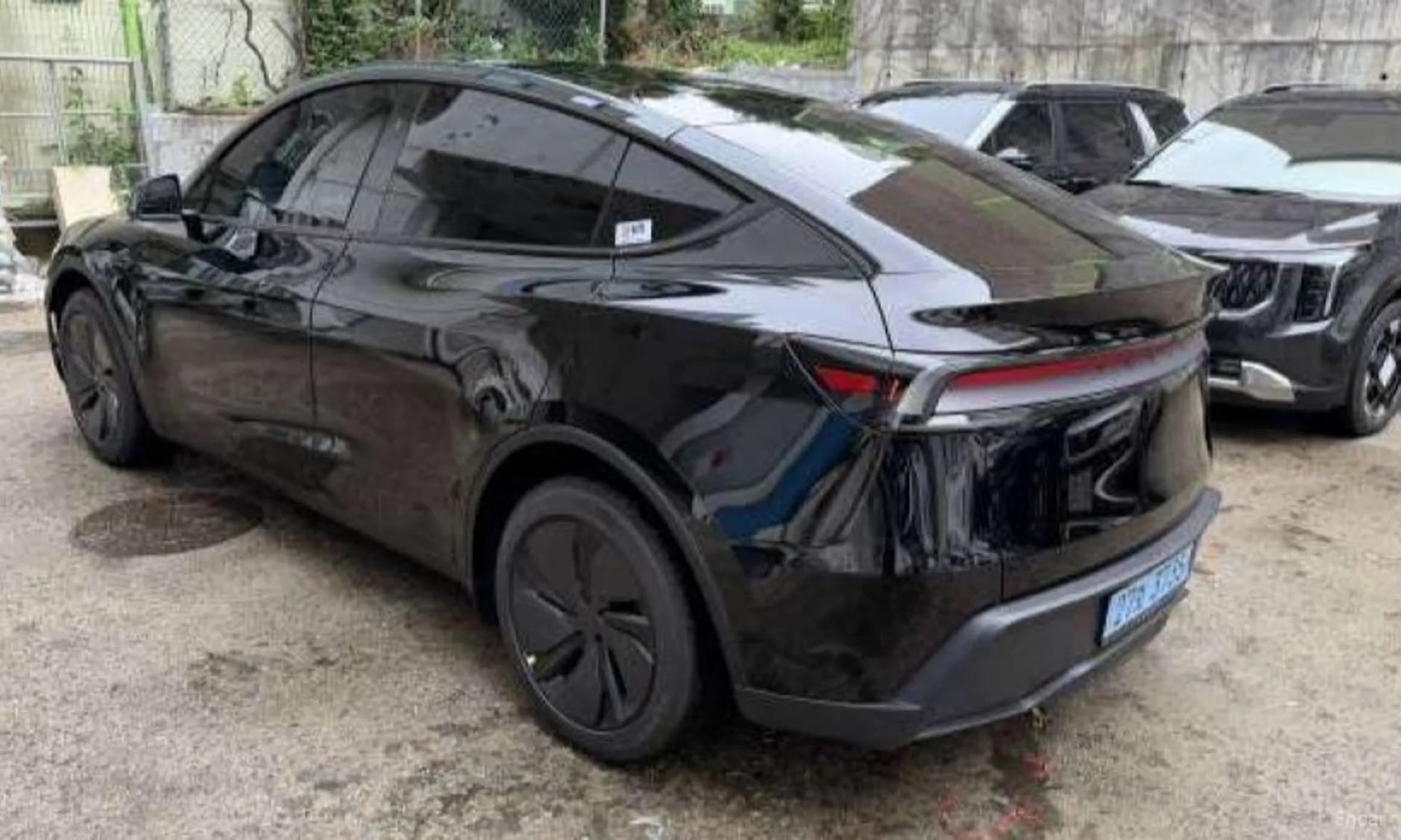 Model Y