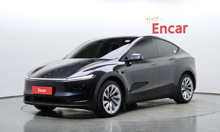 Model Y