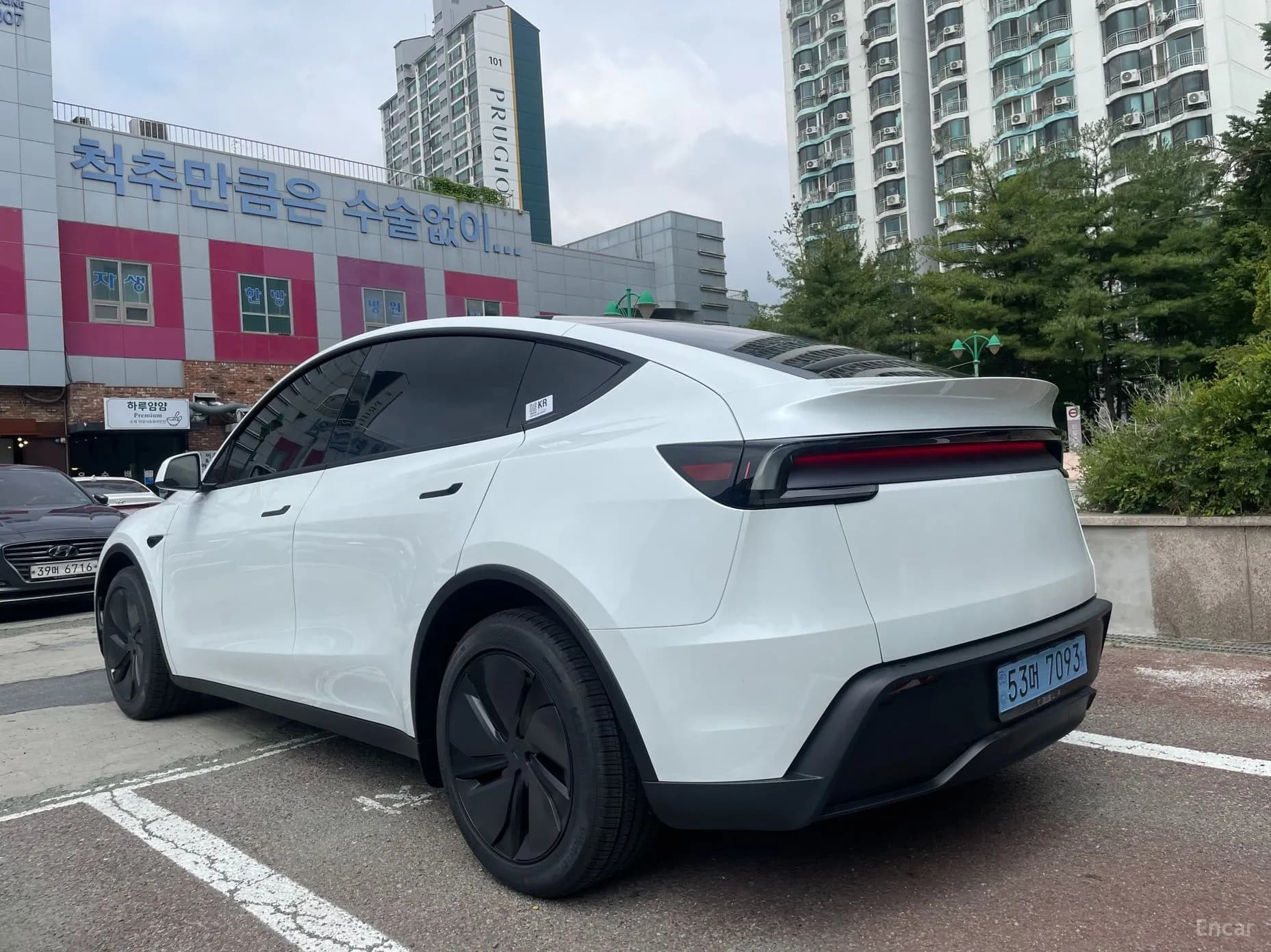Model Y