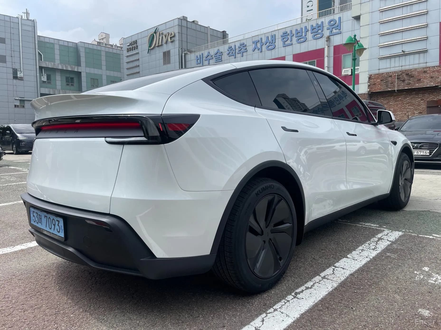 Model Y